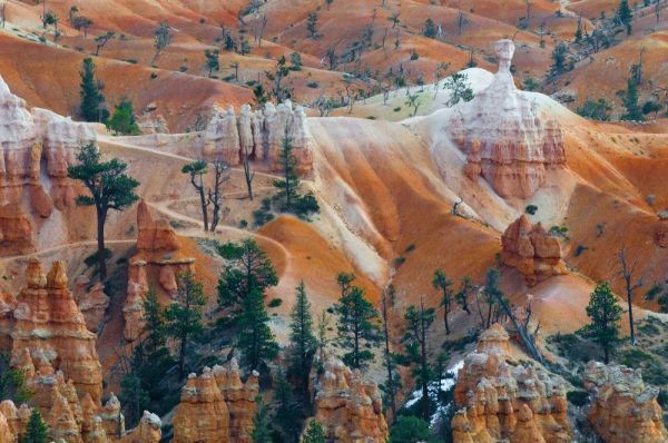 USA, Utah Hoodoo formations in Bryce Canyon NP
